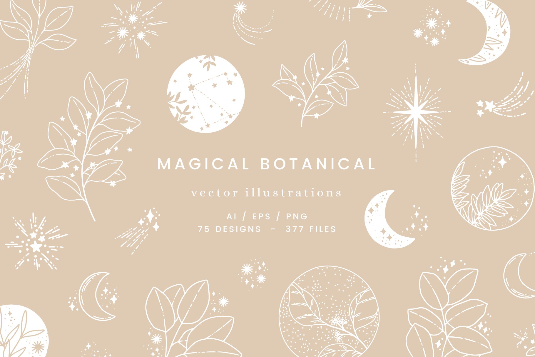 Magical Botanical lllustrations cover image.