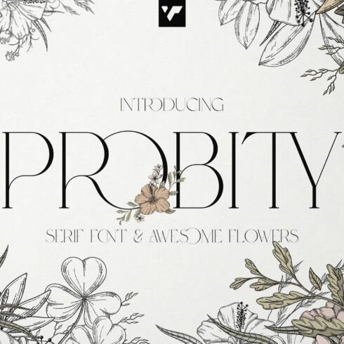 Probity - Creative serif font + more cover image.