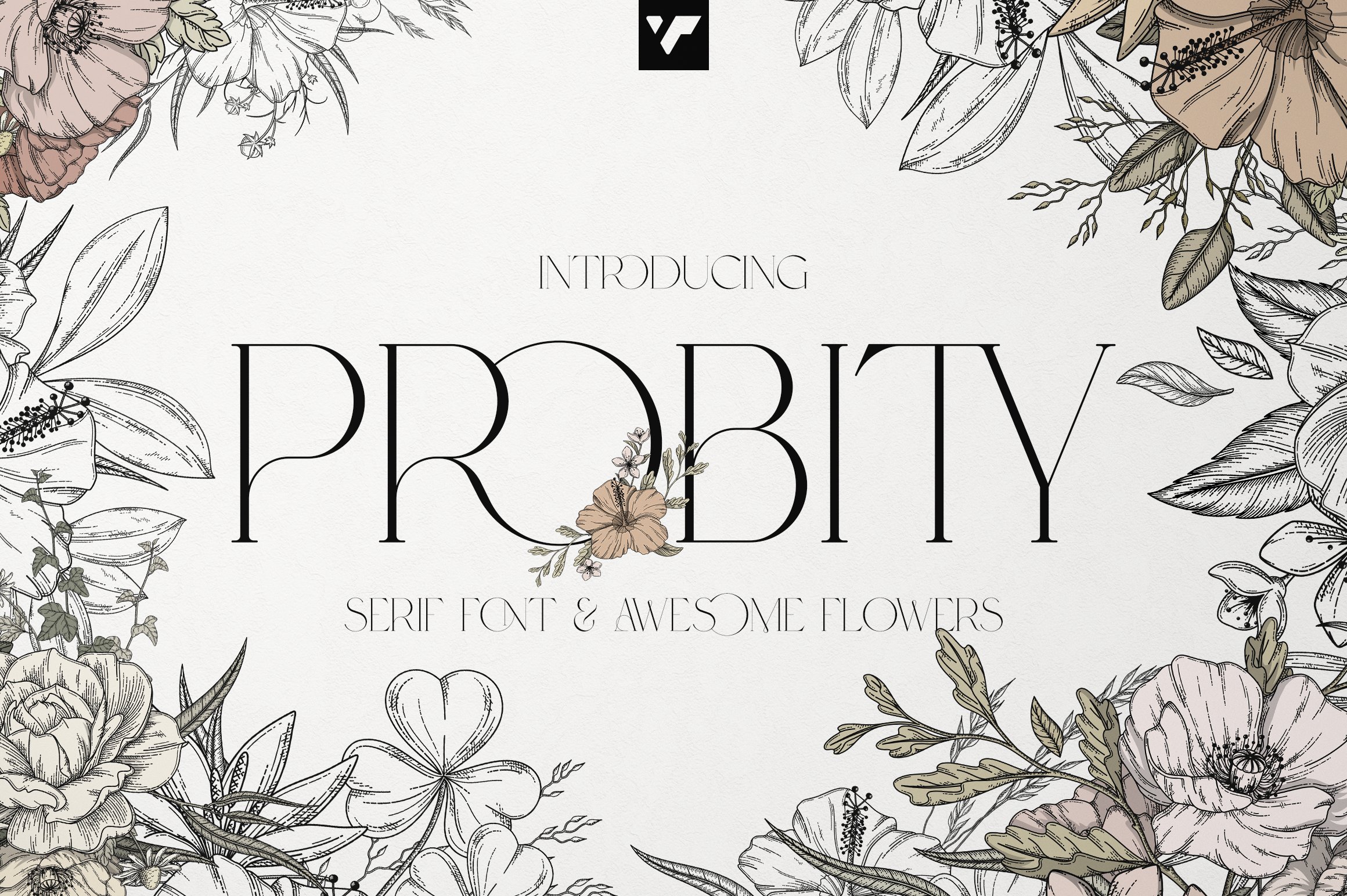 Probity - Creative serif font + more cover image.