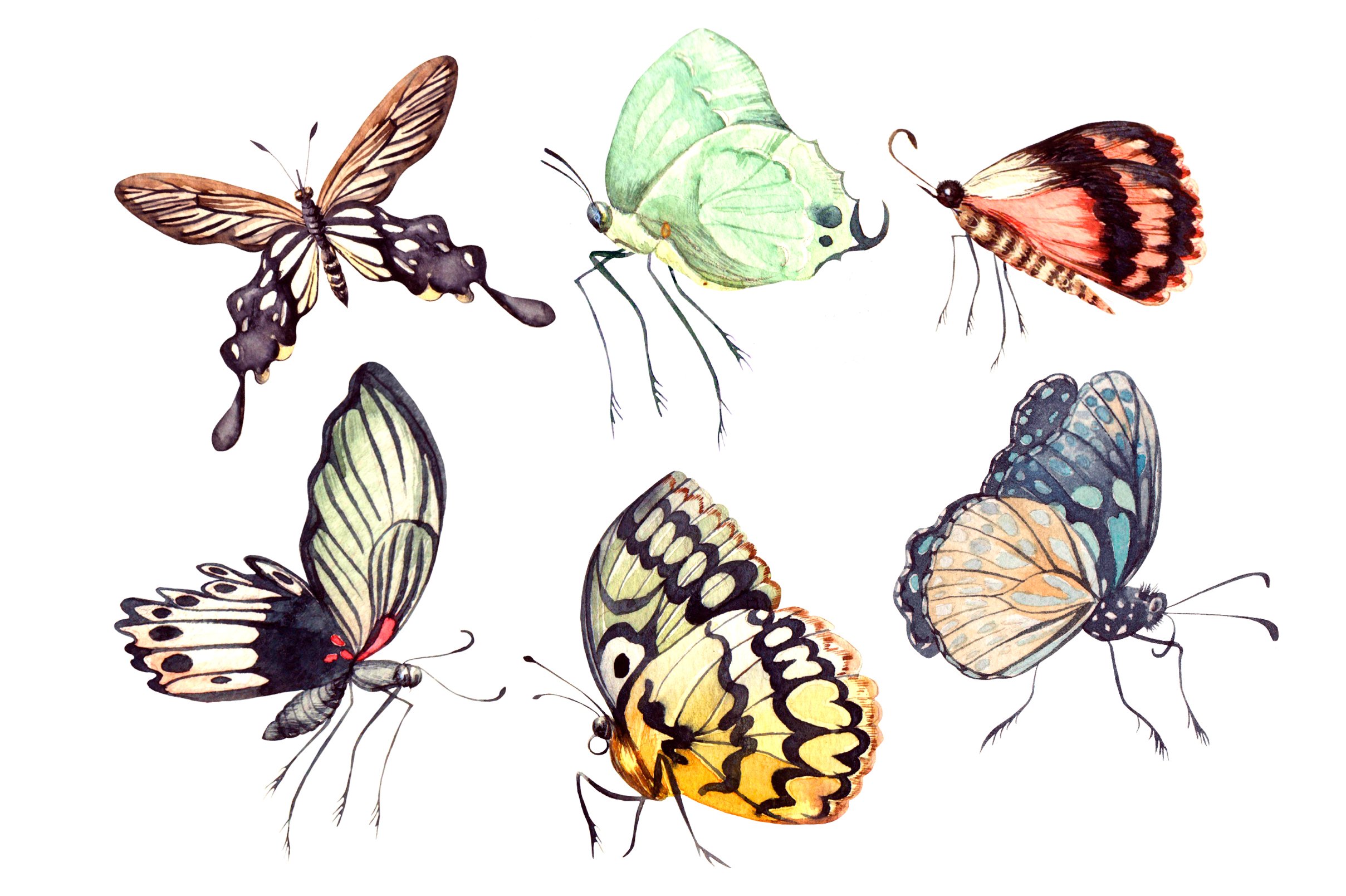 Beautiful watercolor butterflies preview image.