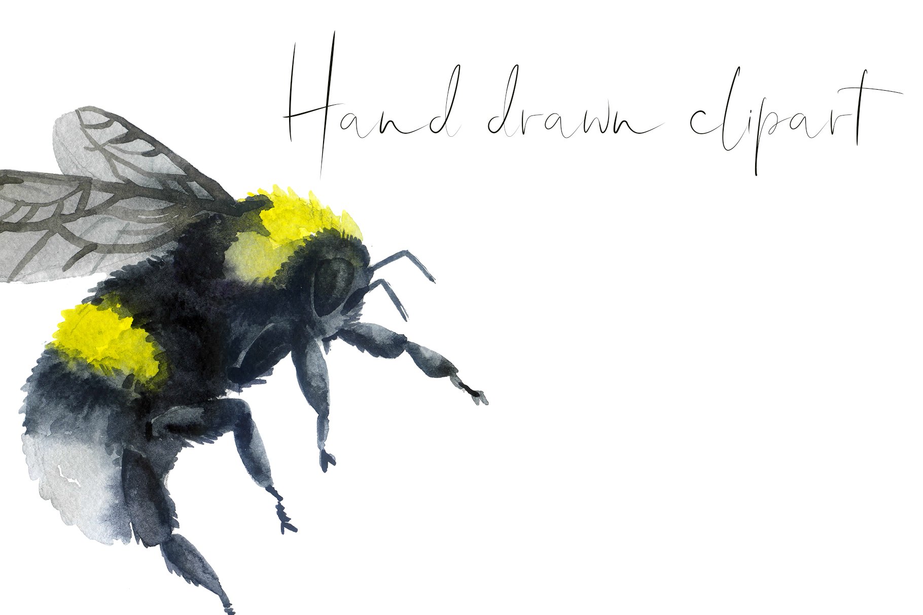 Watercolor bee Clipart. Bumble bee preview image.