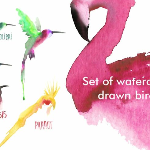 Watercolor birds set cover image.