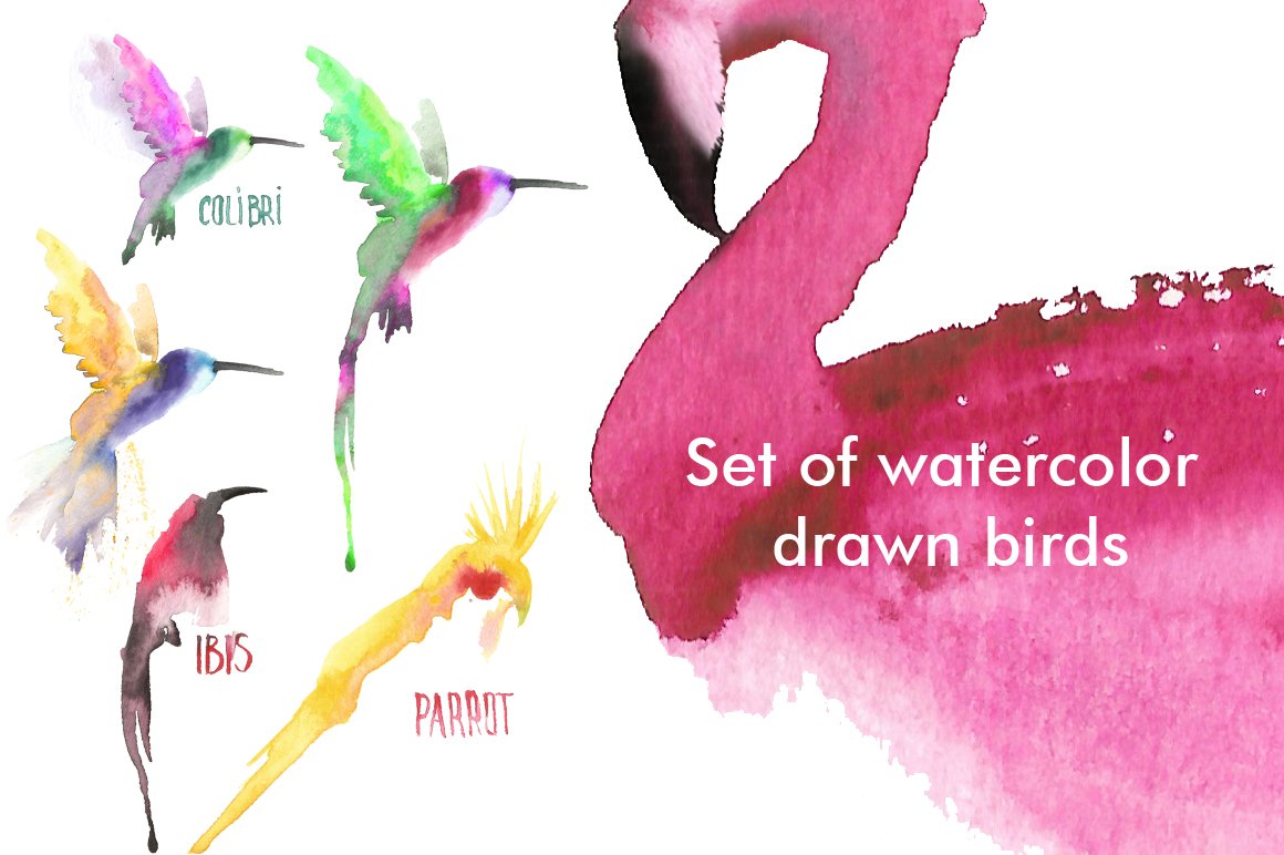 Watercolor birds set cover image.