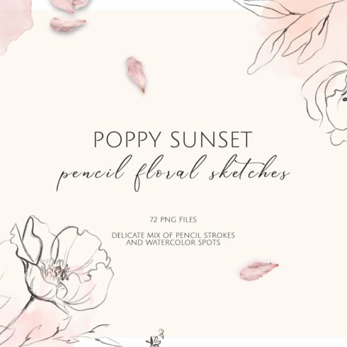 POPPY SUNSET pencil floral sketches cover image.
