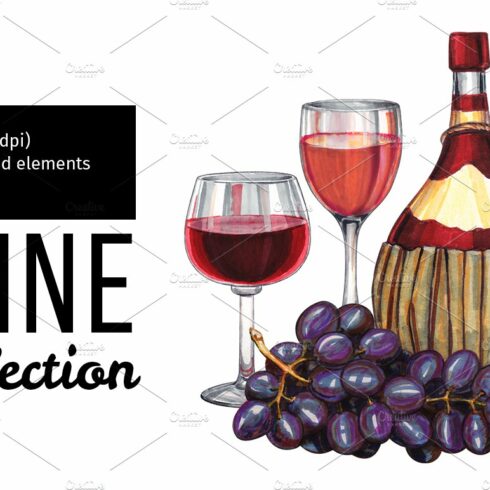 Hand drawn wine illustration. cover image.
