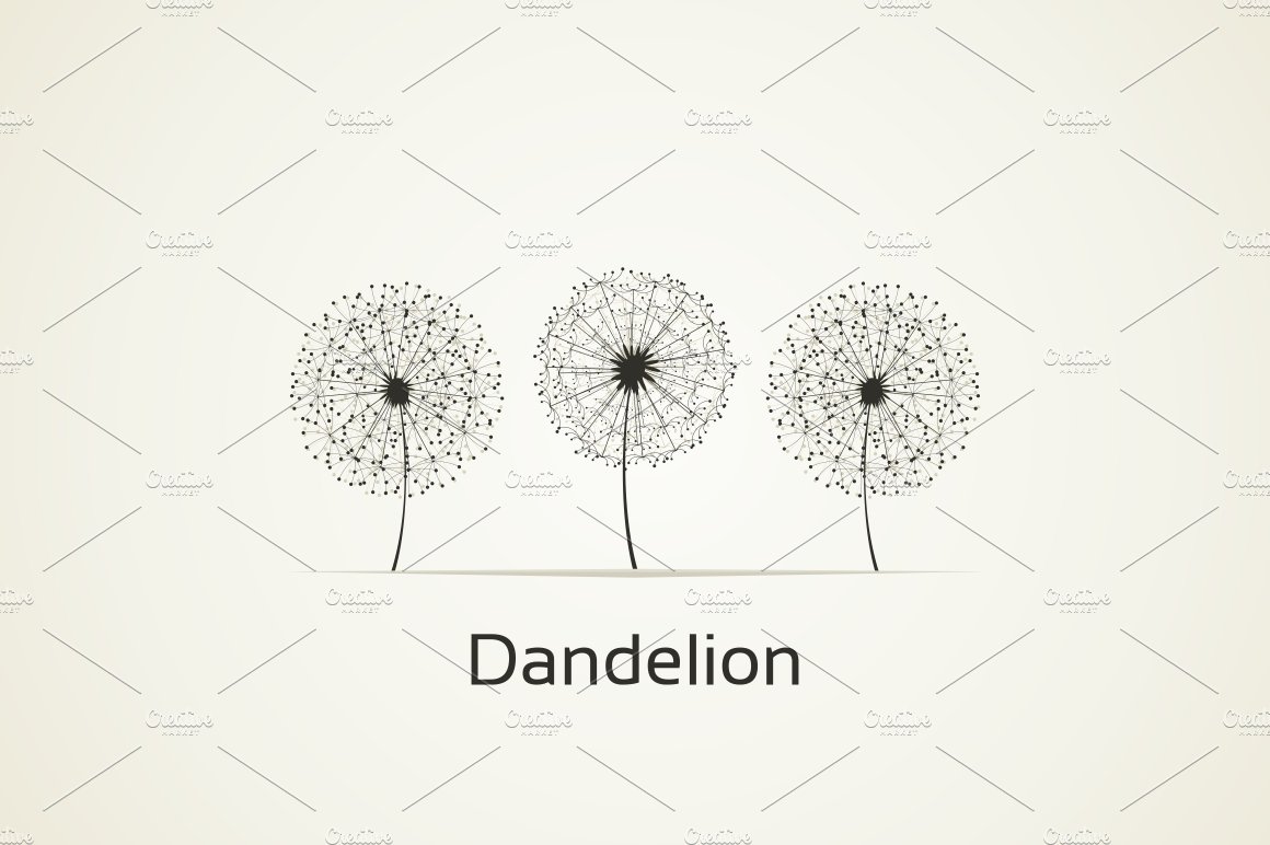 Dandelion cover image.