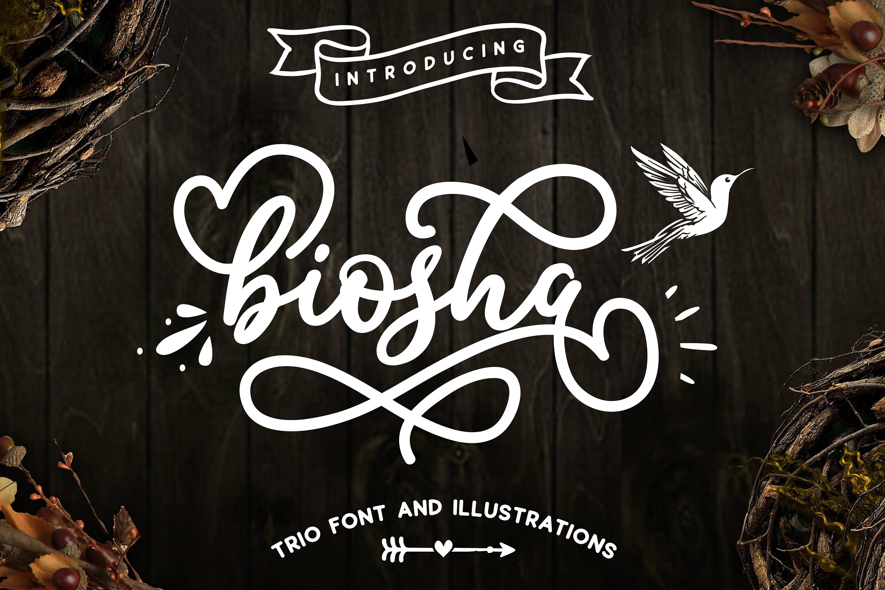 Biosha Font trio and extras cover image.