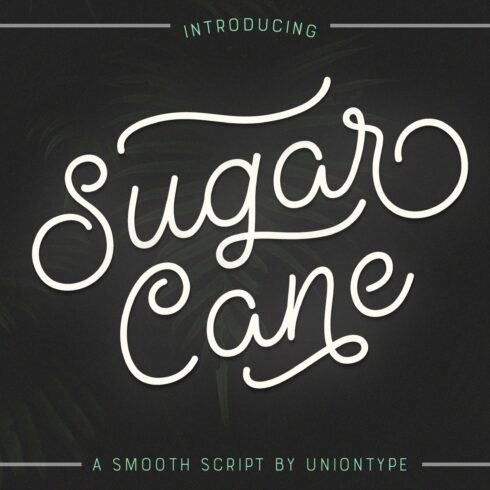 Sugar Cane cover image.