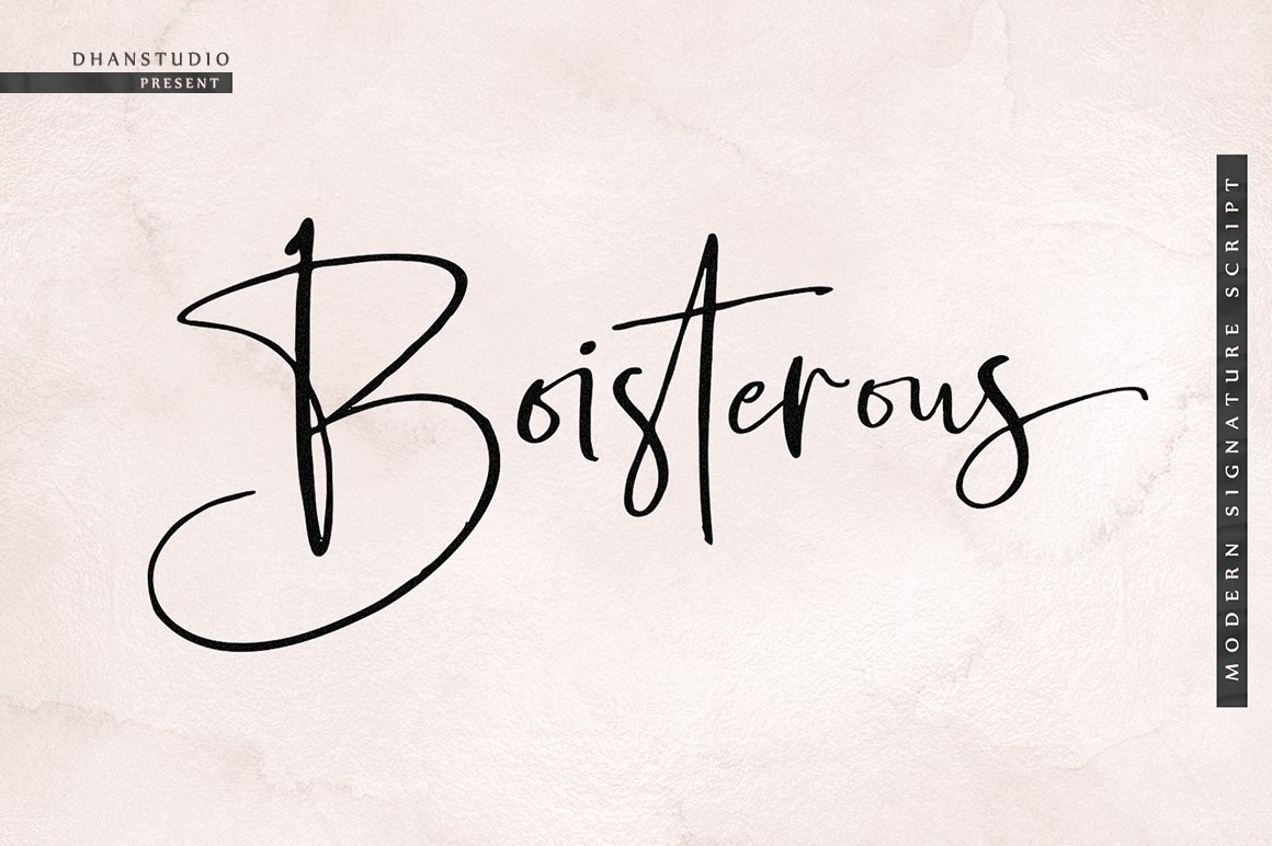 Boisterous Signature Font preview image.
