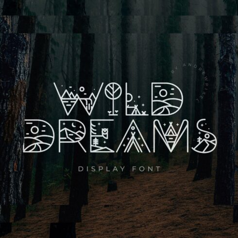 Wild Dreams Display Font cover image.