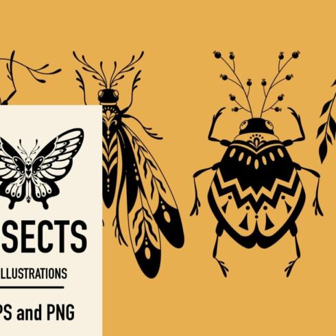 Insects. Graphic clipart + patterns. cover image.