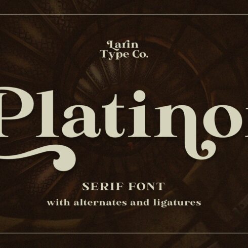 Platinor cover image.