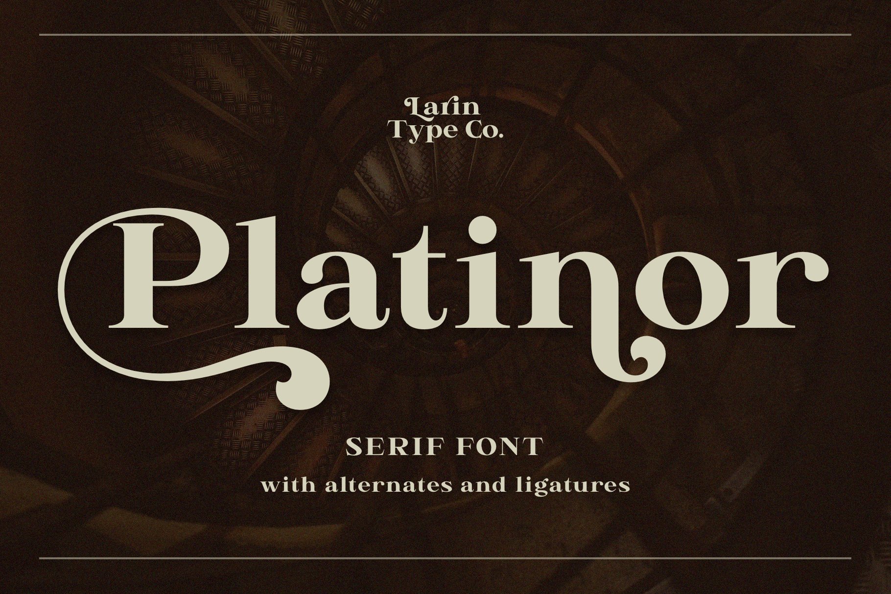 Platinor cover image.