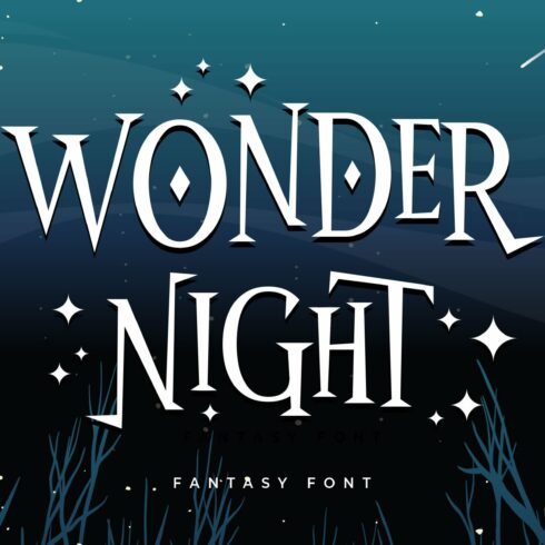 Wonder Night cover image.