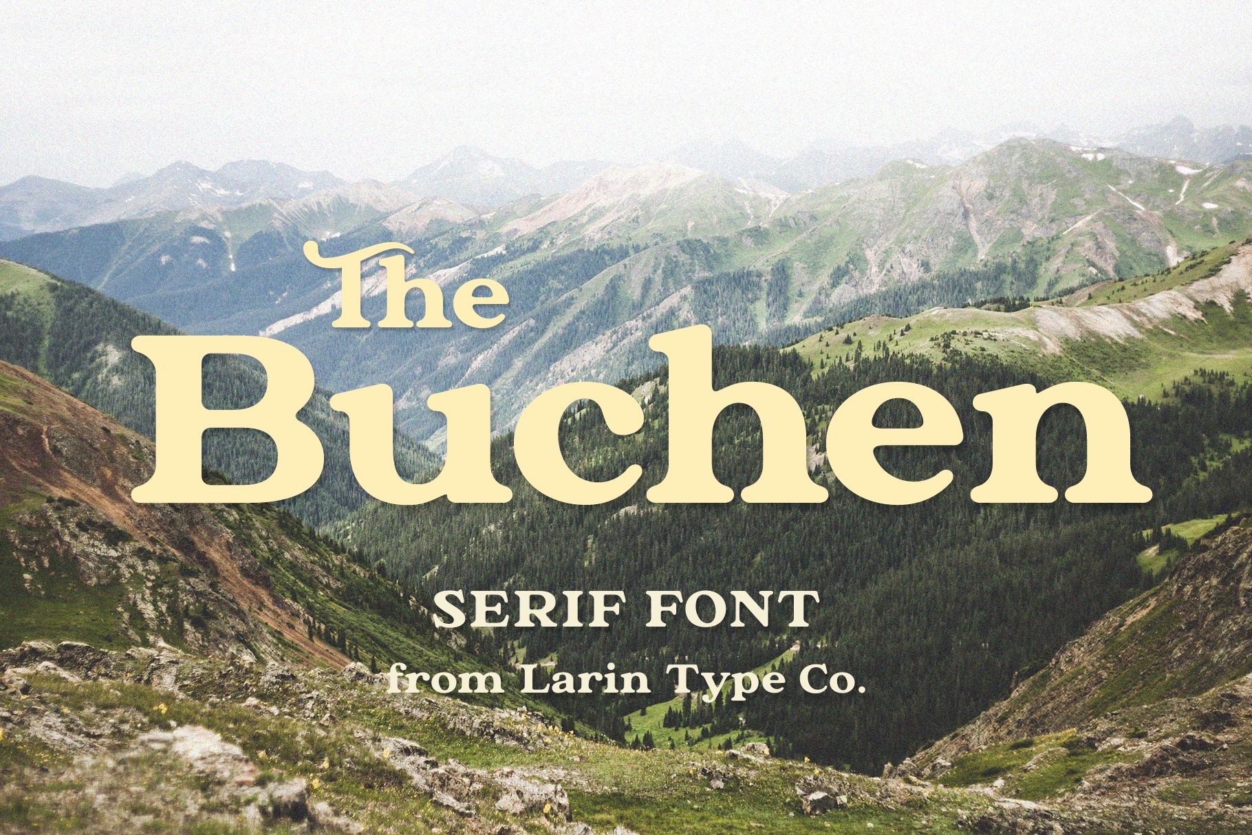 The Buchen cover image.