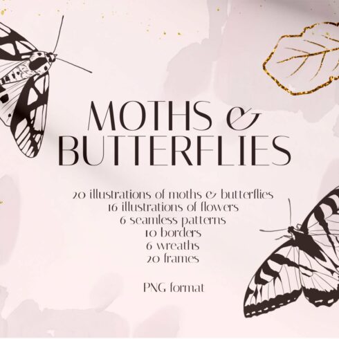 MOTHS & BUTTERFLIES illustration set cover image.