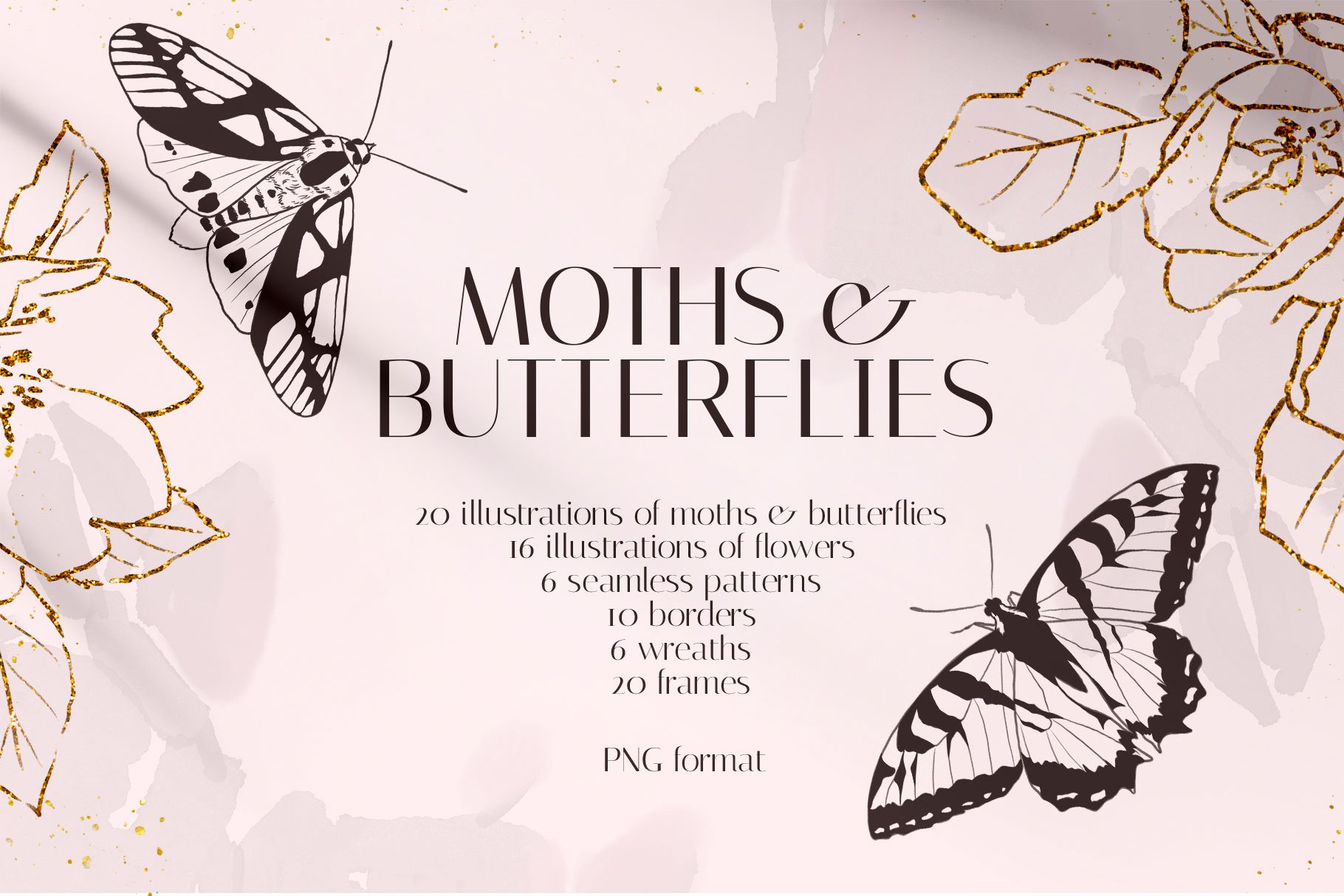 MOTHS & BUTTERFLIES illustration set cover image.