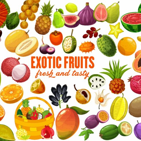 Exotic Fruits Clipart cover image.