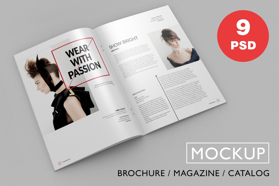 Brochure / Magazine PSD Mock-Ups cover image.