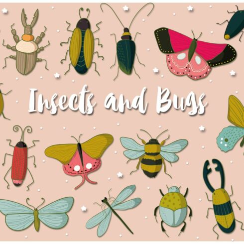Insects and Bugs cover image.