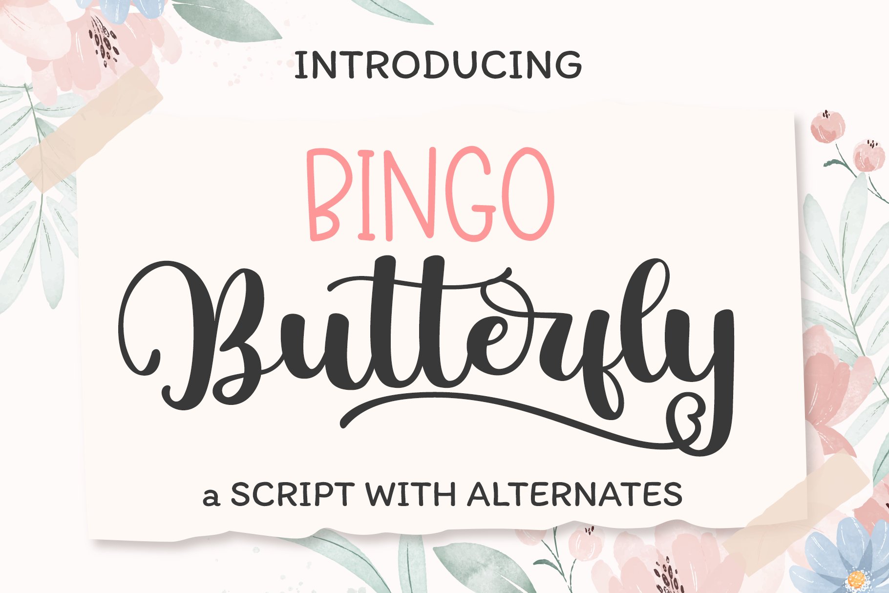 Bingo Butterfly cover image.