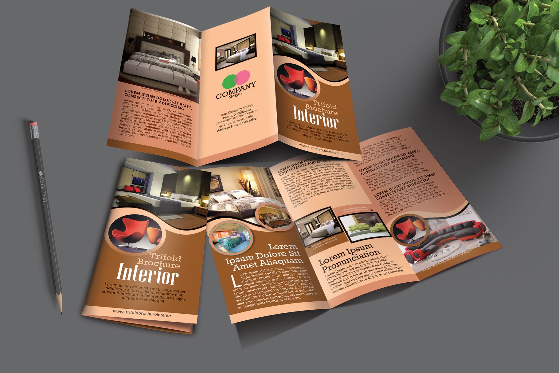 Interior  - Trifold Brochure preview image.