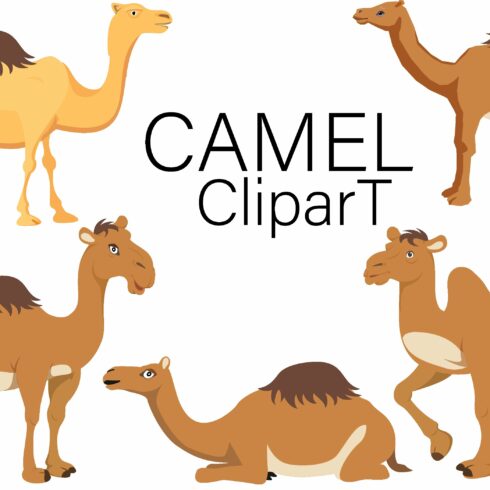 Camel clipart cover image.