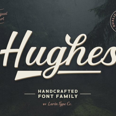 Hughes cover image.
