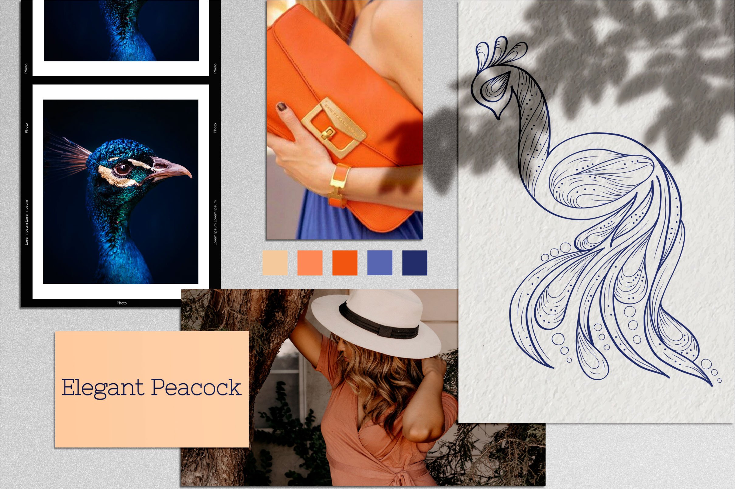Elegant Doodle Peacock Collection preview image.
