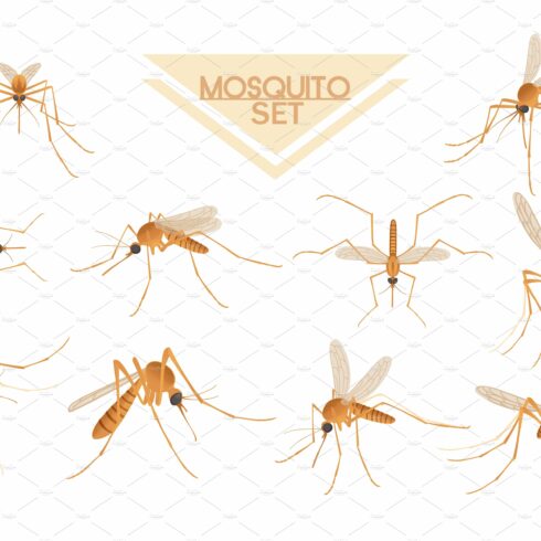 Collection of Brown mosquito cover image.