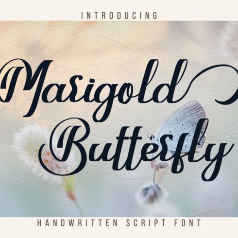 Marigold Butterfly cover image.