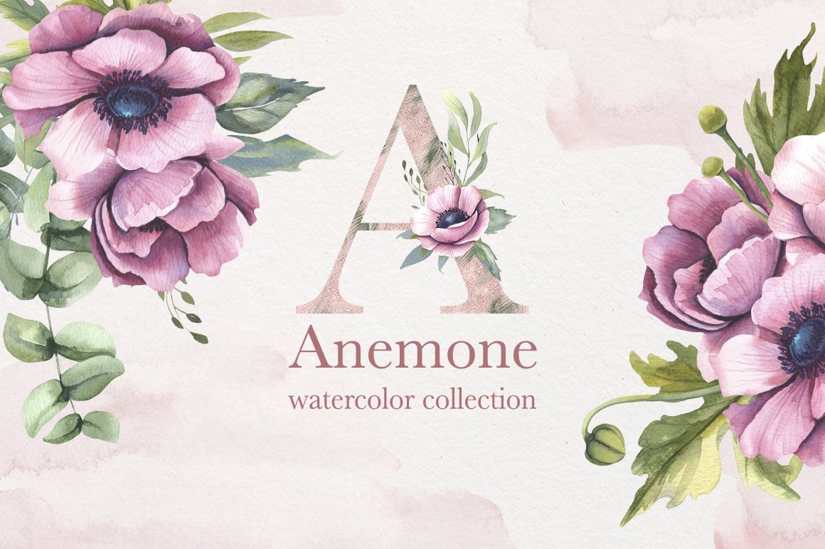 Sale 20%-Anemones Collection. cover image.