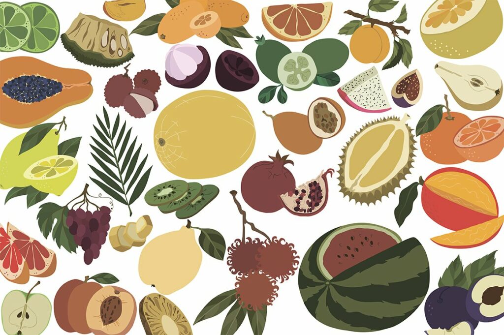 Vector fruit – MasterBundles