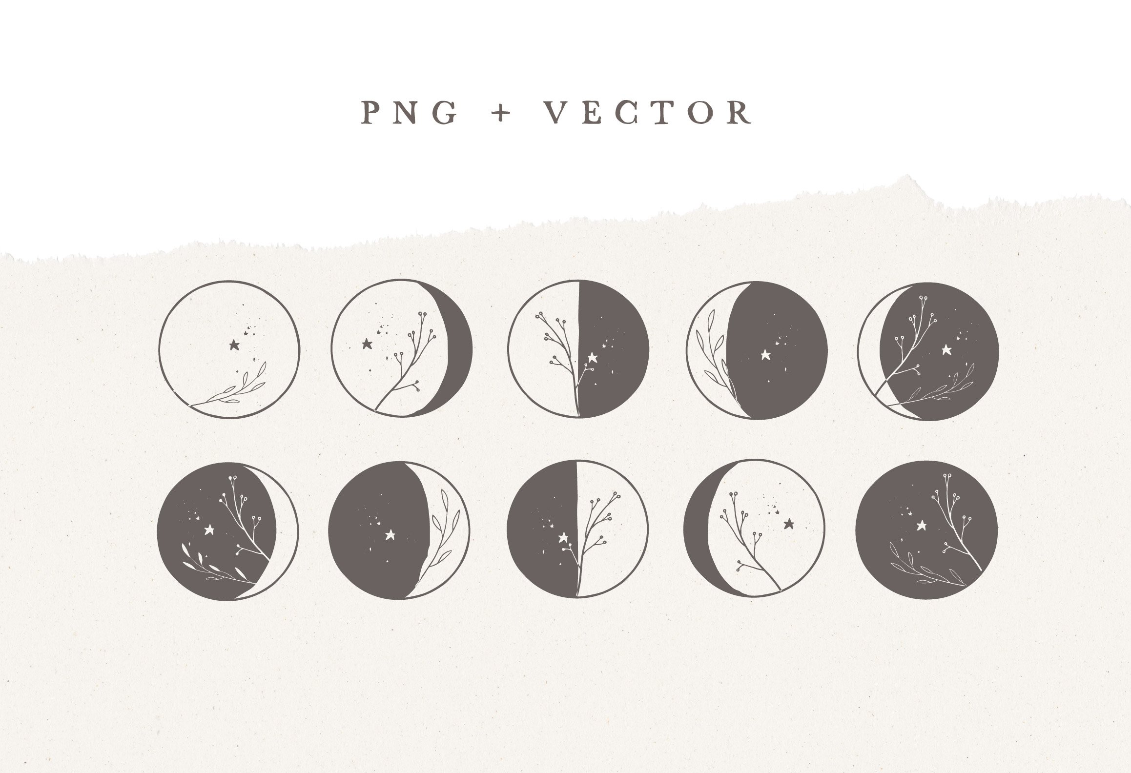 MOON PHASES / vector illustration preview image.