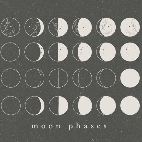MOON PHASES / vector illustration cover image.