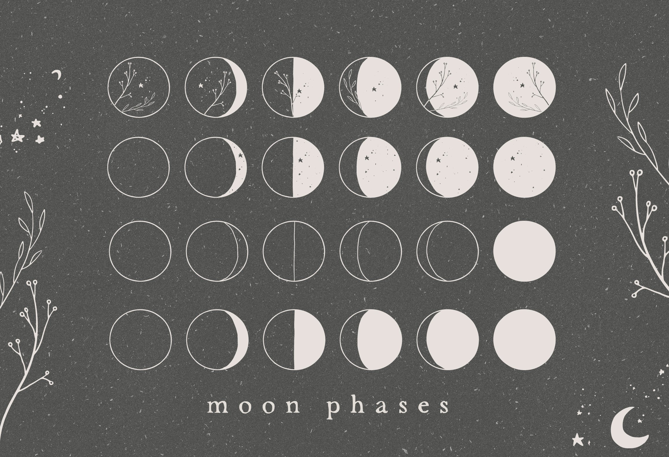 MOON PHASES / vector illustration cover image.