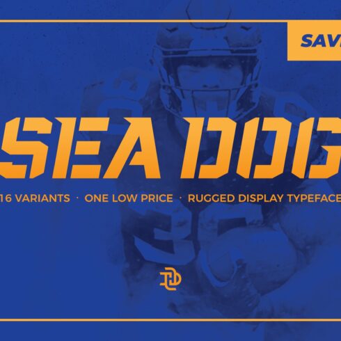 Sea Dog Bundle | Sports Display Font cover image.