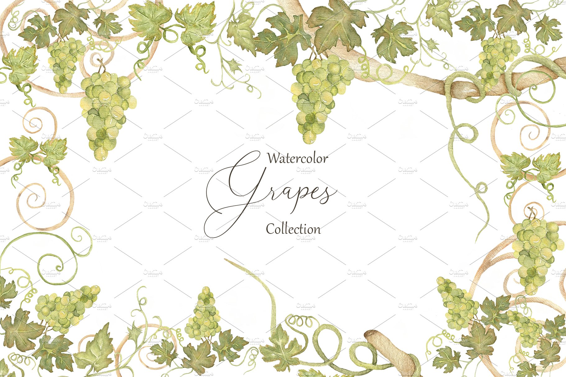 Watercolor Grapes cover image.