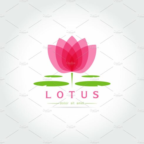 Lotus flower logo cover image.