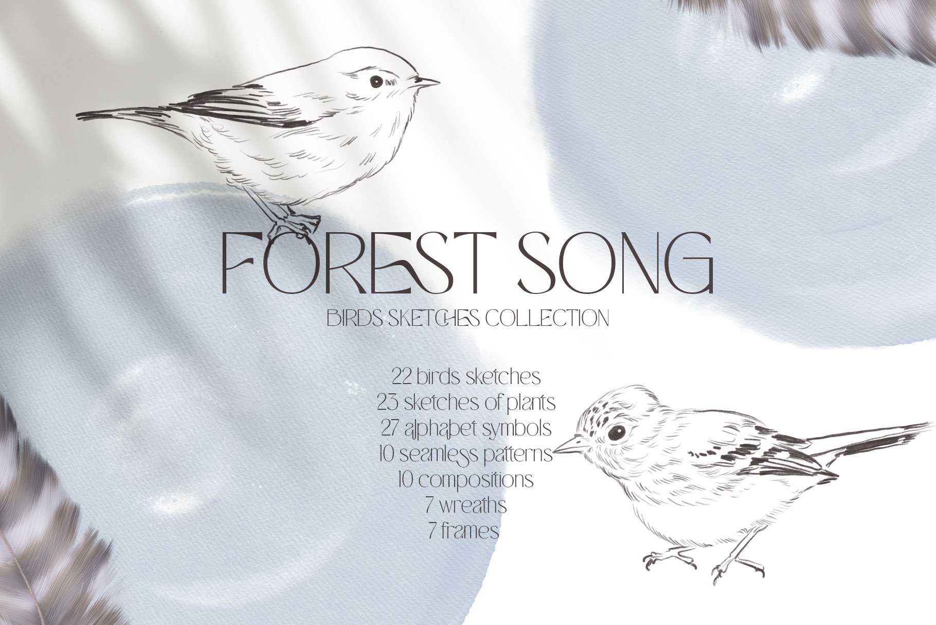 FOREST SONG birds sketches cover image.