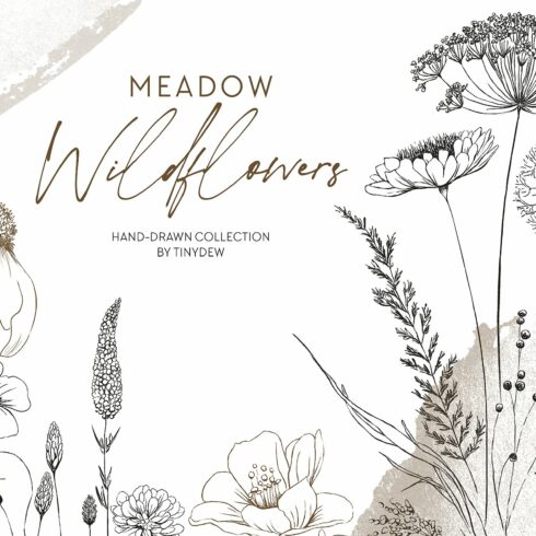 Meadow Wildflowers Hand-Drawn Sketch cover image.