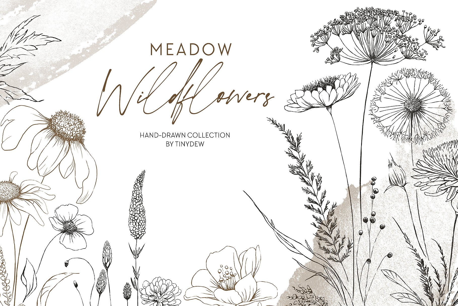 Meadow Wildflowers Hand-Drawn Sketch cover image.