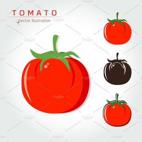 Tomato Logo Vector illustration cover image.