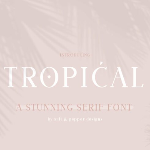 Tropical Serif Font cover image.