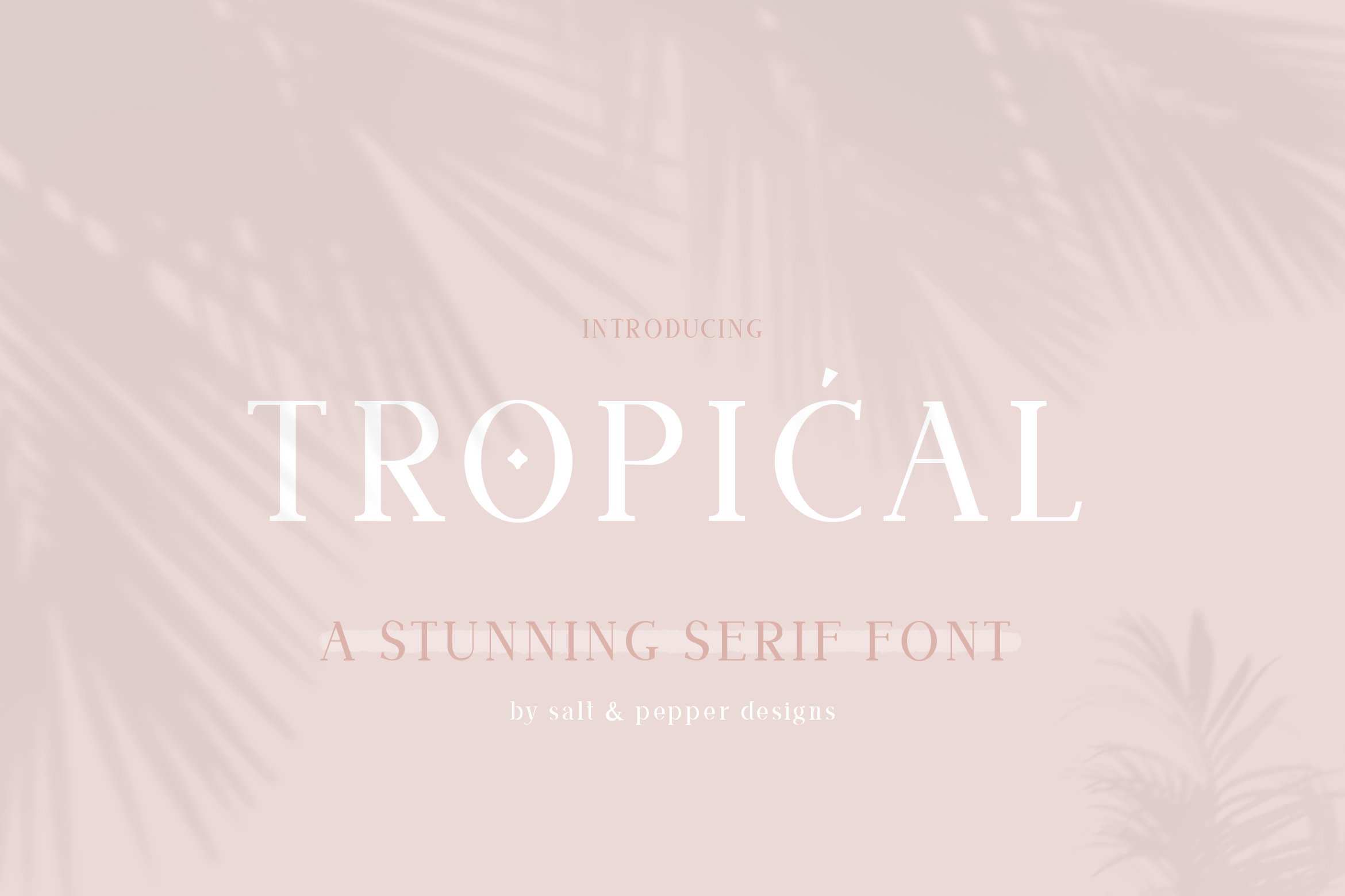 Tropical Serif Font cover image.