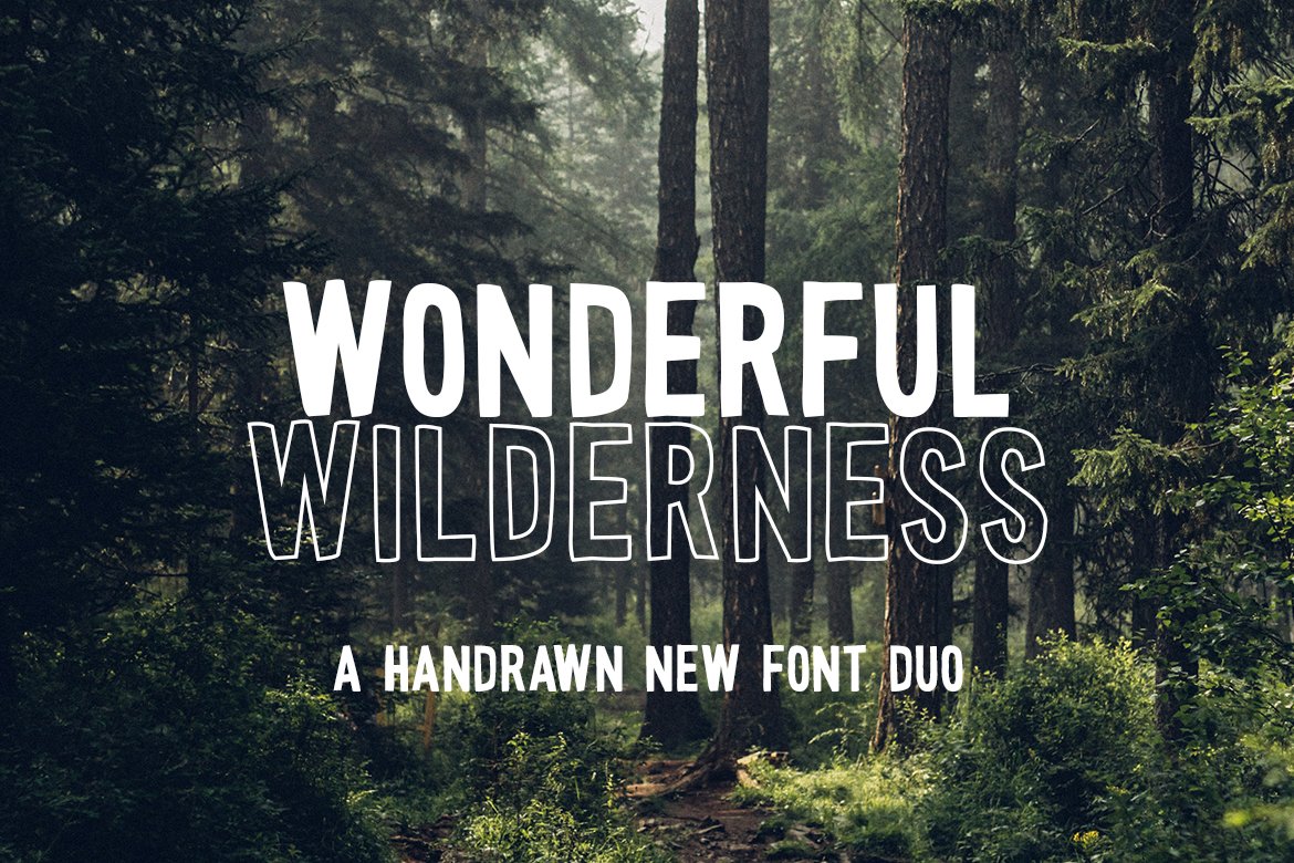 Wonderful Wilderness Font Duo cover image.