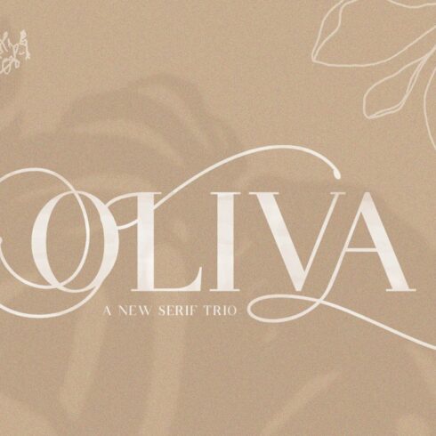 Oliva Serif Font cover image.