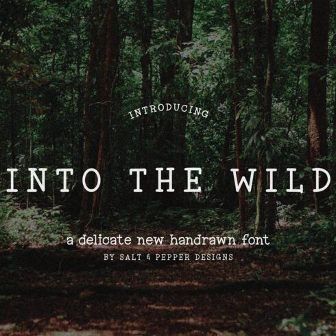 Into the Wild Font cover image.