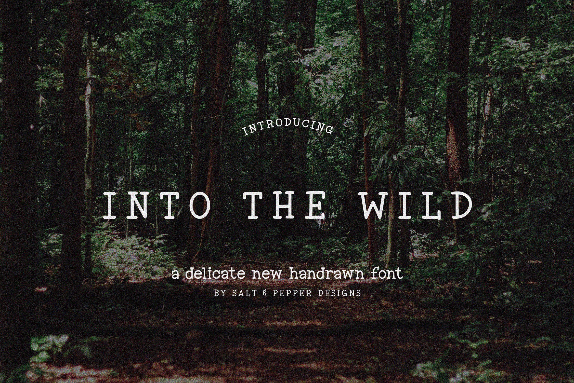 Into the Wild Font cover image.