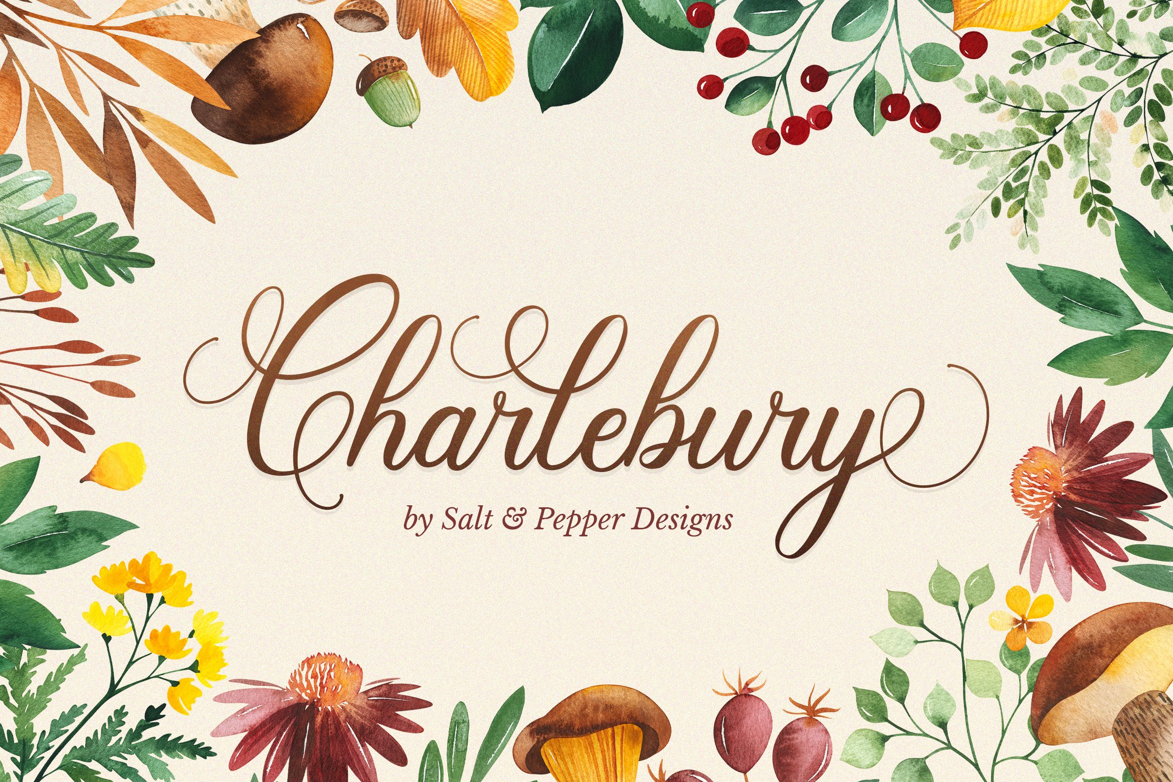 Charlebury Script Font cover image.